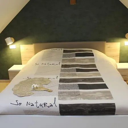 Kymsourit Proche Europa-park Et Rulantica - Centre Alsace *