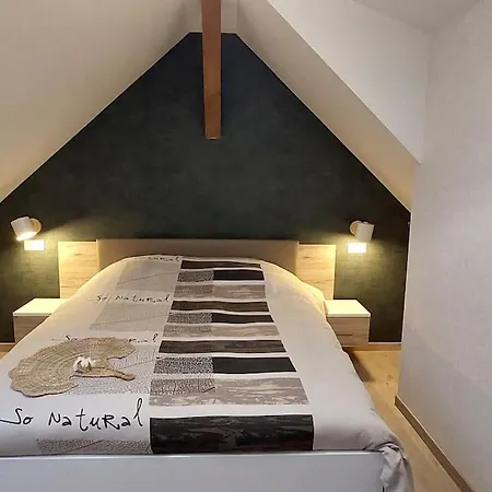 Gites Kymsourit - Sauna - Spa - Proche Europa-Park Et Rulantica - Centre Alsace Holiday home Sand