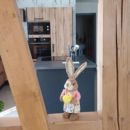 Kymsourit Proche Europa-park Et Rulantica - Centre Alsace Tatil Evi *