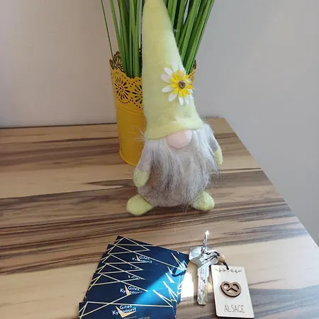 別荘 Kymsourit Proche Europa-park Et Rulantica - Centre Alsace Sand